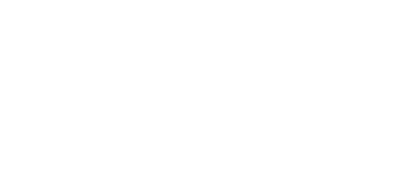 We declare climate emergency logo